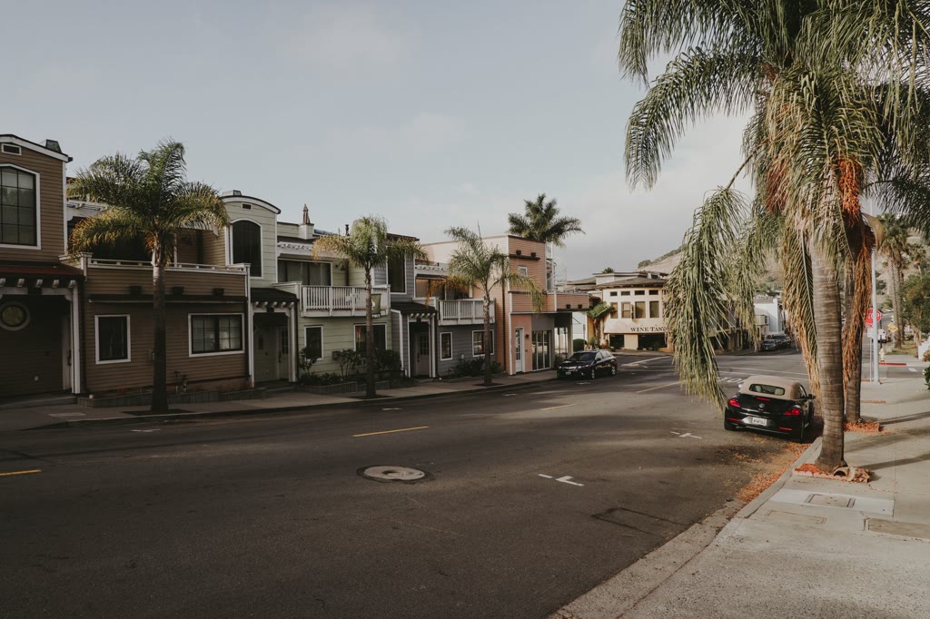 A palm-lined California street with homes and sidewalks.